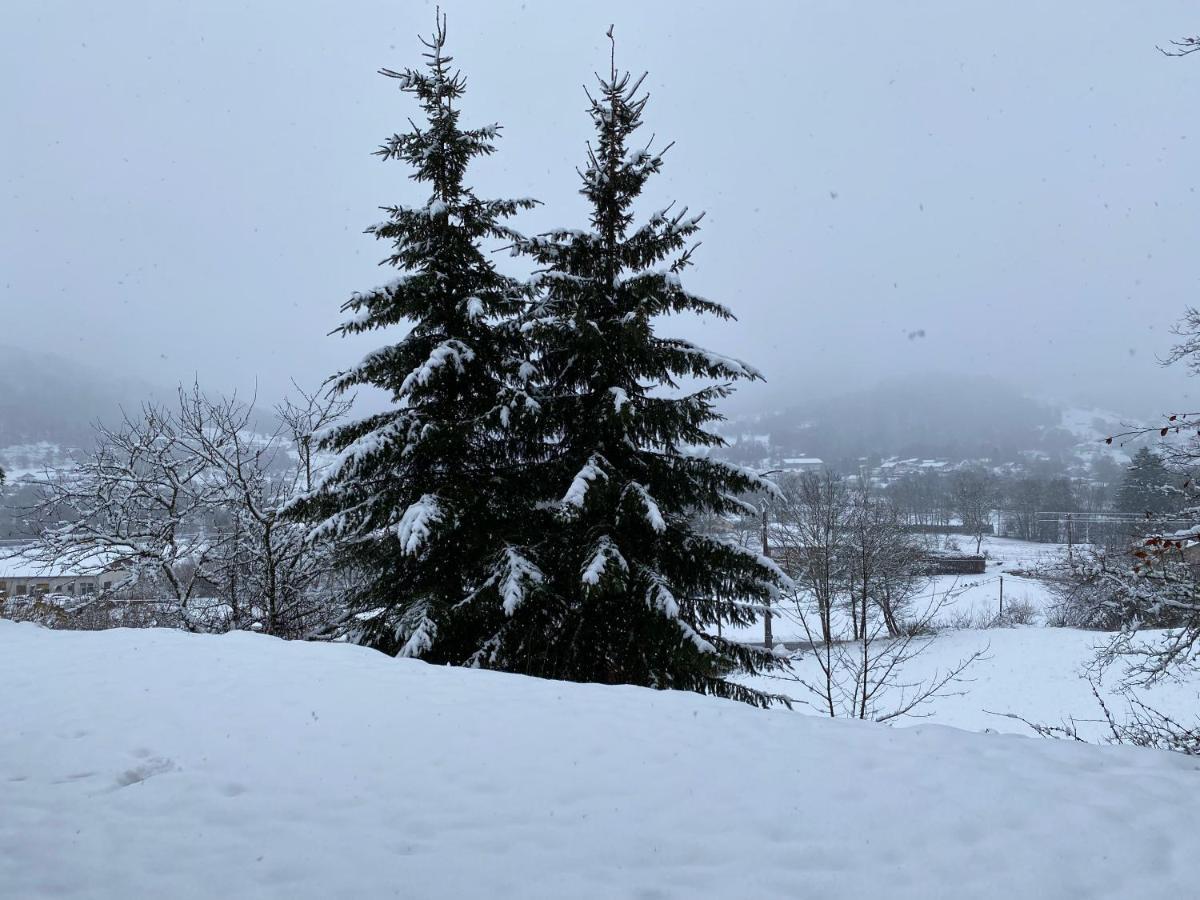 Ma Jolie Camyna Villa Ramonchamp Exteriör bild